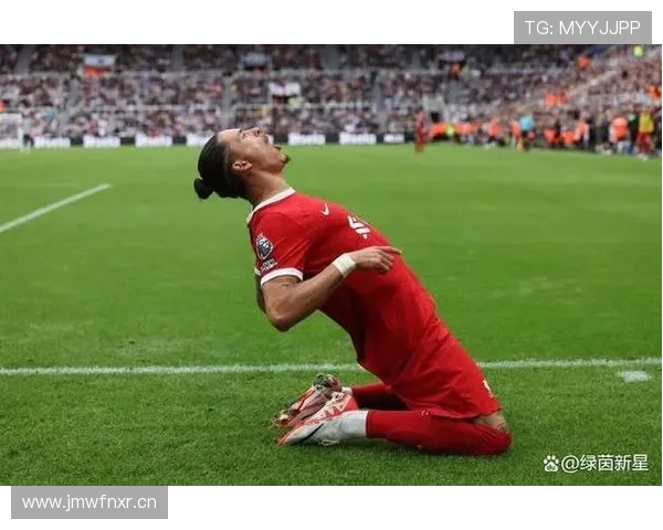 从南美新星到英超焦点：努涅斯的成长与质疑